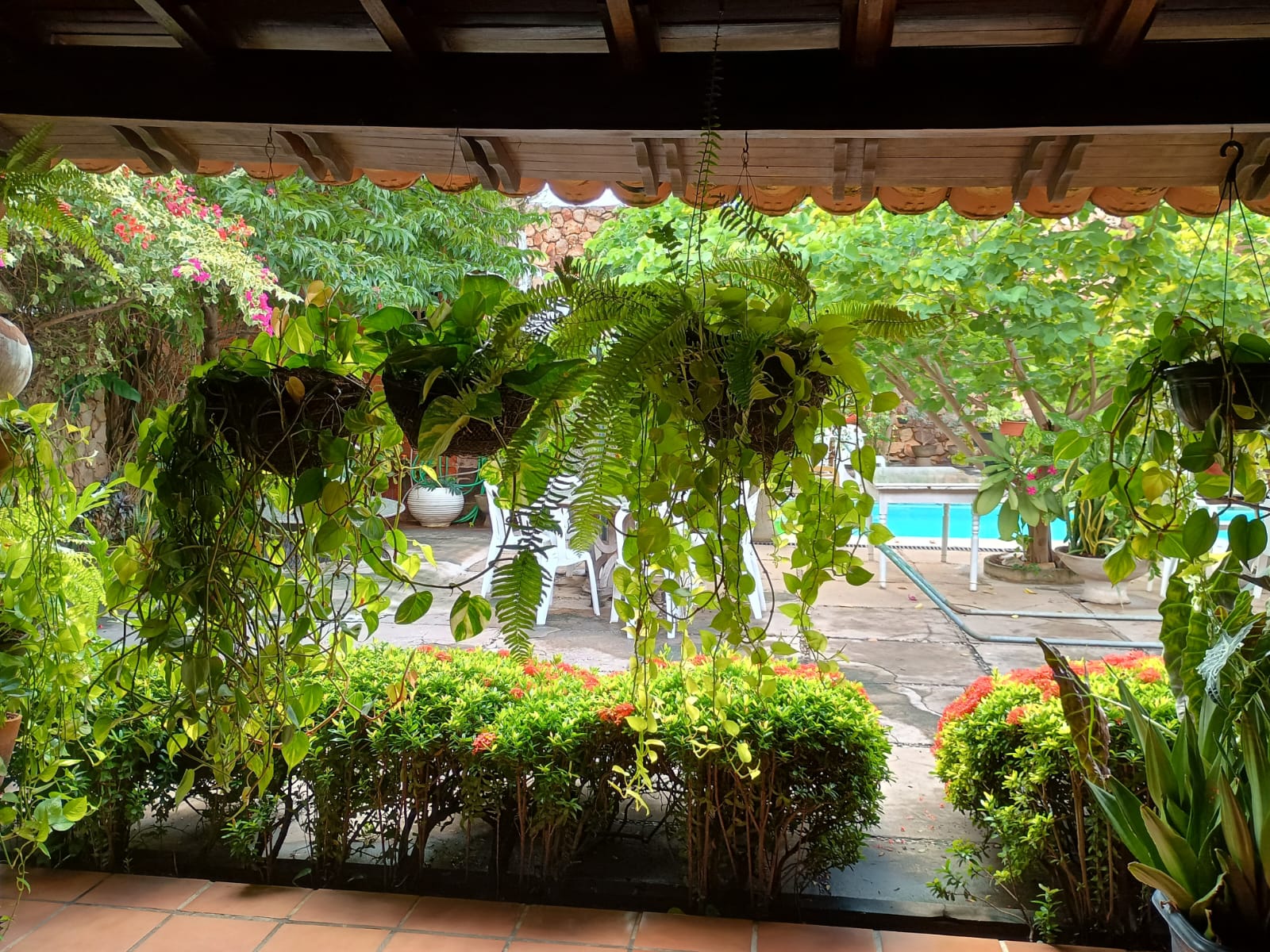 Casa / Residência, Rua Manoel Gonçalves, Nº: 596, Bairro: Centro - Imagem 13